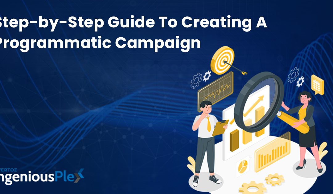 Step-by-Step Guide To Creating A Programmatic Campaign (In IngeniousPlex)